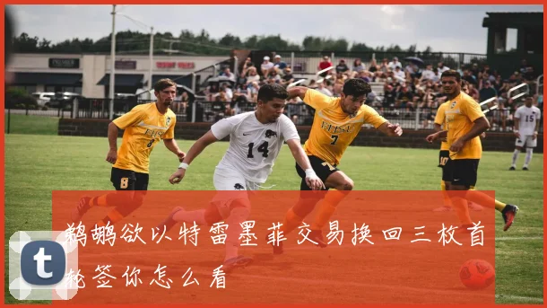 鹈鹕欲以特雷墨菲交易换回三枚首轮签你怎么看