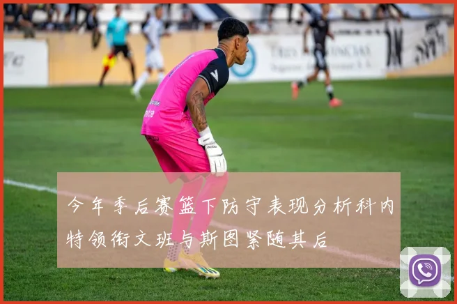 今年季后赛篮下防守表现分析科内特领衔文班与斯图紧随其后