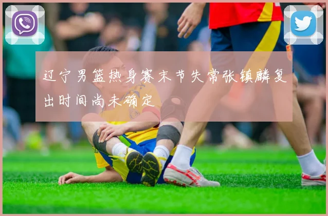 辽宁男篮热身赛末节失常张镇麟复出时间尚未确定